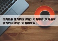 国内最有潜力的区块链公司有哪些[国内最有潜力的区块链公司有哪些呢]